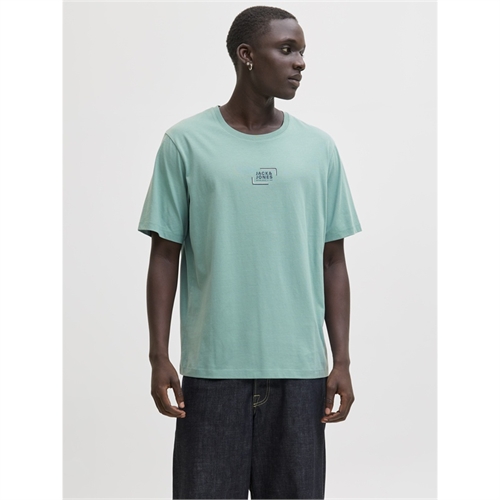 t-shirt-uomo-jjcorp-graphic-mineral-blue-jack&jones-12268415