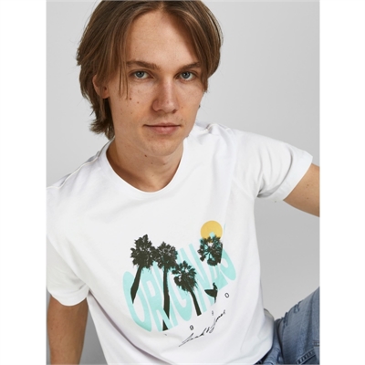 JACK&JONES t-shirt uomo con stampa 12189848 6