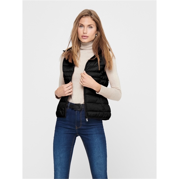 on__3460547__front1