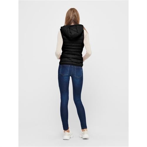 on__3460547__front1